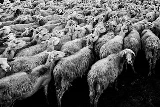 Kafka Consumers and Producers in Rust