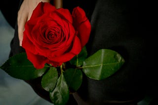 woman’s hand holding a red rose
