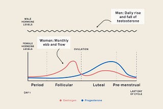 WE HAVE IT HARD BY DESIGN: WOMEN’S HORMONAL CYCLE