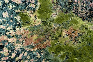 A close-up of green moss on a marble stone.