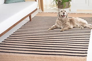 safavieh-natural-fiber-beige-black-6-ft-x-9-ft-striped-woven-area-rug-1