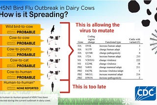 H5N1 Flu Is Potentially 100X Deadlier Than COVID, But Do Not Panic