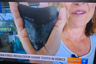 “Sharky the Friendly Megalodon” (a ChatGBT story):