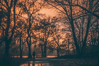 Dusky view of a wet path reflecting the surrounding trees and a person at the far end as if walking or heading towards the far lake in the distance. The more sepia ambiance makes it like a metaphor for looking soberly back into something in my re-examination of the flaws in my national identity from the events in 2020 and since.