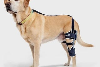 balto-ligatek-adjustable-hinged-dog-knee-brace-large-right-1