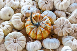 It’s pumpkin hour and I was never really a pumpkin fan