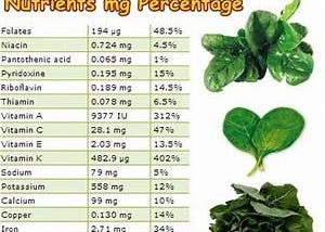 Spinach Benefits