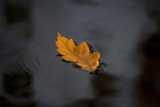 Adrift
