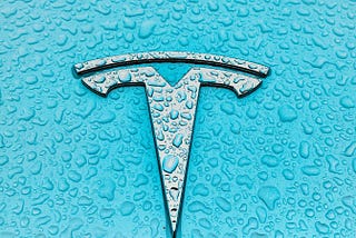 Tesla: Does Elon Musk Dream of Electric Droids?