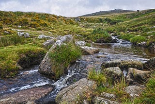 Holidays Near Dartmoor