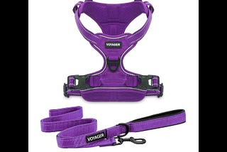 voyager-dual-attachment-no-pull-dog-harness-with-6ft-leash-combo-purple-lattice-m-1