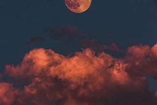 An aspiring horror-psychological novelist