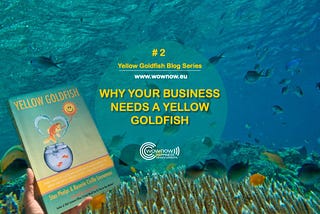 Yellow Goldfish series #2: Why Your Business Needs A Yellow Goldfish