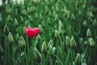 Be Unique And Express Your Individuality