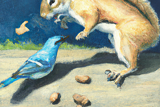 Three Hungry Squirrels and One Blue Jay