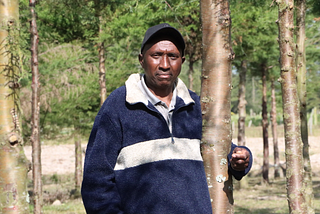 Nyandarua farmer’s retirement plan: cypress plantation and agroforestry