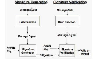 The Elliptic Curve Digital Signature Algorithm Flaw