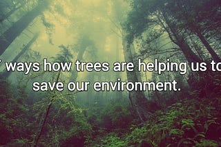 Save Trees: 7 ways how trees are helping us