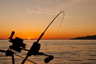 Top Tips for Successful LRF Fishing Adventures