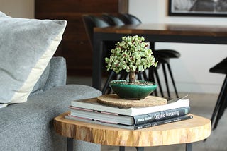Why Bonsai is the Perfect New Hobby to Try During Coronavirus