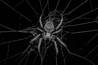 A black, scary spider weaving its web.