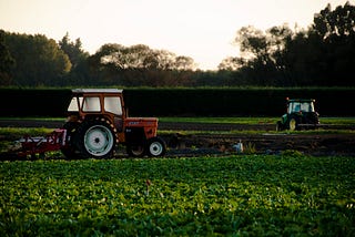 THE NEW FACE OF AGRICULTURE