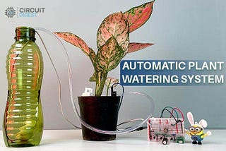 Building an Automatic Plant Watering System Without Arduino