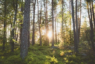 Deploying a MongoDB Replica set