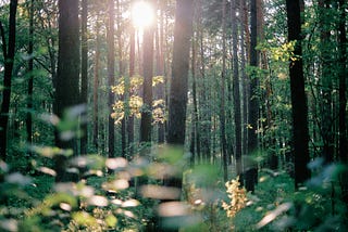 His Perfect Presence is Where Perfect Peace Begins