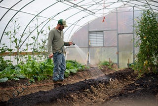 How small-scale farms and food hubs are reclaiming market share from supermarkets