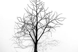 ELI5: Binary Search Trees 🌲