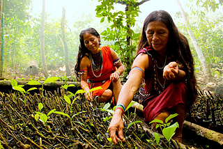 Fulfilling a planetary health agenda at COP15 requires addressing outstanding gaps in the Nagoya…