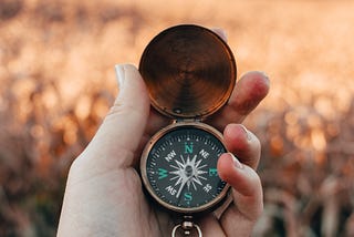 Lessons from My Nodal Return: A Story of Birth and Rebirth