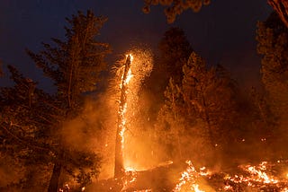 Severe wildfires burning 8 times more area in western U.S., study finds