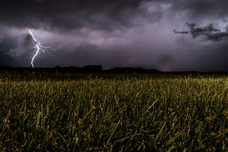 a wet crop field with lightening in the background