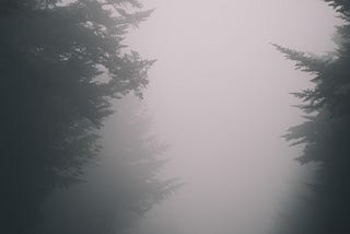 An image of a shadowy person in a wood with low visibility due to fog / mist. Trees either side of them & they’re holding a camera