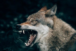 Inside Me, There Are Two Wolves
