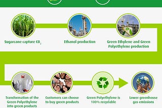 Closing the carbon cycle: Assessing the feasibility of bioplastic as a carbon sink