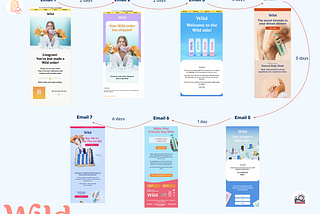 Overview of the Wild email flow
