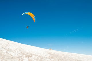 #Vegansky: Bluesky for Vegans and Animal Advocates (+ More Positive News)