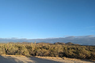 Inicio de año en una tierra extraña