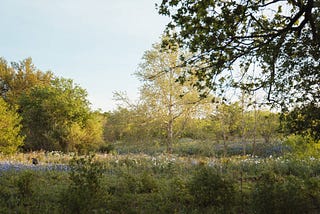 The Managed Lands Deer Program and Families Who Hunt in Texas