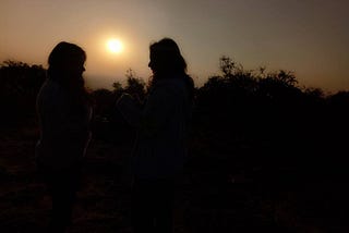 Life! Light at the sunset.