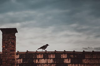 A black bird sits on a brick wall or the top of a house against a dark, cloudy sky.