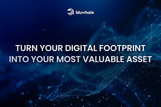 Unlocking Wallet Insights: Empowering Digital Transformation with Bluwhale AI