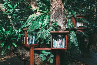 How to leave the Anthropocene — Fostering sustainability requires us to challenge our stories and…