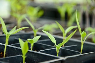 Need help growing your newsletter? Read these 5 articles right now.
