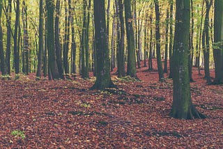 Humans on Earth: A Brief Ecological History