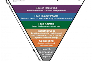 Food Waste: How Startups Can Improve This Broken, Fragmented, and Inefficient Supply Chain