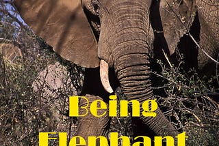 Being Elephant